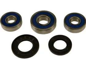 All Balls Wheel Bearing & Seal Kit Rear Honda Cb1000 1994-1995