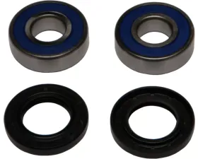 All Balls Wheel Bearing & Seal Kit Bmw G650X Moto 2006-2007