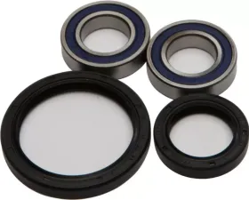 All Balls Wheel Bearing & Seal Kit Honda Crf250X 2004-2017