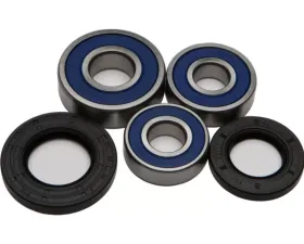 All Balls Wheel Bearing & Seal Kit Aprilia Evt Caponord 2001-2007