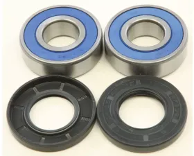 All Balls Wheel Bearing Kit Bmw C600 2012-2015