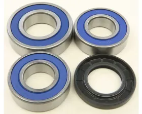 All Balls Wheel Bearing Kit KTM Duke 690 2014-2017
