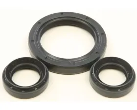 All Balls Differential Bearing Kit Yamaha Kodiak 450 2018