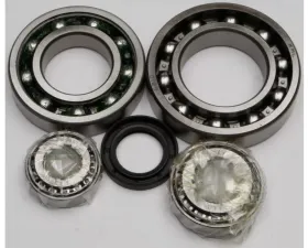 All Balls Differential Bearing & Seal Kit Kawasaki Klf300B Bayou 1988-2005