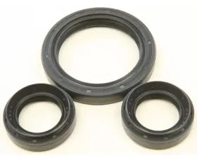 All Balls Differential Bearing Kit Yamaha Kodiak 700 Eps 2016