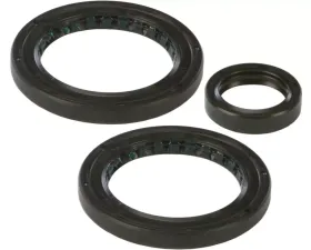 All Balls Differential Bearing Kit Polaris ATV 500 Pro 2002
