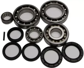 All Balls Differential Bearing & Seal Kit Kawasaki Kfx 700 V-Force 2004-2009