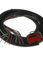 Ultimate 8 Foot Universal Harness MS3Pro DIYAutoTune                                     - MS3V-U_HRN - Image 3