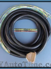 MicroSquirt Wiring Harness 8 Foot for MS3X DIYAutoTune                                     - MS3X-Hrn - Image 3