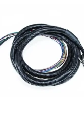 MicroSquirt Wiring Harness 8 Foot (MS1/MS2/MS3 Ready) DIYAutoTune                                     - MSHarness - Image 2