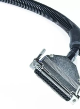 MicroSquirt Wiring Harness 8 Foot (MS1/MS2/MS3 Ready) DIYAutoTune                                     - MSHarness - Image 2