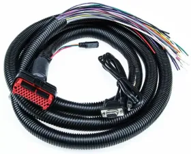 MicroSquirt Wiring Harness 8 Foot DIYAutoTune