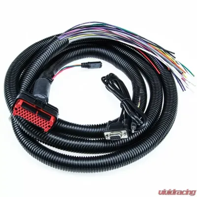 MicroSquirt Wiring Harness 8 Foot DIYAutoTune - MicroHrns8