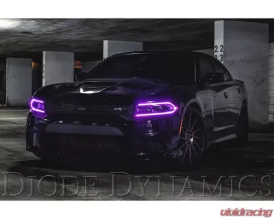 Diode Dynamics RGBW DRL LED Boards Dodge Charger 2015-2018 - DD2003