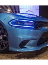 Diode Dynamics RGBW DRL LED Boards Dodge Charger 2015-2018                                     - DD2003 - Image 4