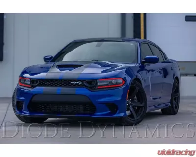 Diode Dynamics RGBW DRL LED Boards Dodge Charger 2019-2021 - DD2282