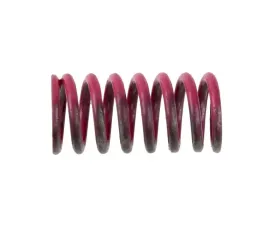 Powertrax Spring