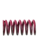 Powertrax Spring                                     - 1038461ZAG - Image 2