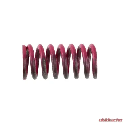 Powertrax Spring - 1038461ZAG