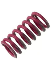Powertrax Spring                                     - 1038461ZAG - Image 2