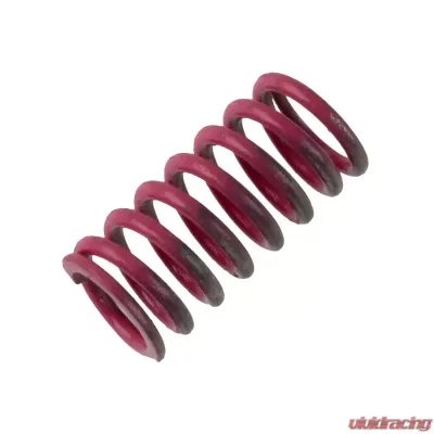 Powertrax Spring - 1038461ZAG