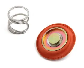 Holley 12-841 & 12-842 BYPASS REGULATOR REBUILD KIT