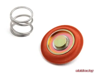 Holley Rebuild Kit For Bypass Regulators 12-841/12-842