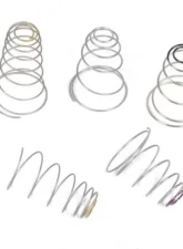 Holley SEC.DIAPHRAGM SPRING KIT                                     - 20-13 - Image 2