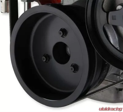Holley COMP MID-MT PREM SYSEM, LS WP ALT PS-NAT - 20-181