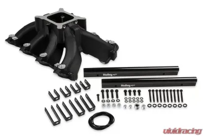 Holley INT MNFD CATHEDRAL SPLIT SGL-PLN EFI-BLA - 300-255BK