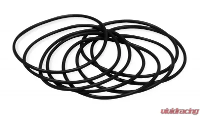 Holley IM GASKET SET, O-RING LT1 - 508-25