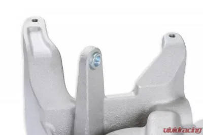 Holley MANIFOLD-BRACKET KIT, LT4 WET-NATURAL - 97-250