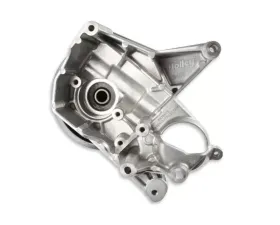 Holley BRACKET KIT, P/S LT4-W LONG SPCR NATURAL