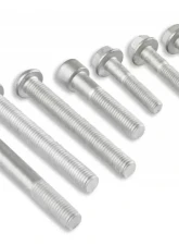 Holley HARDWARE, LT4 DRY-NATURAL (ALT)                                     - 97-261 - Image 3