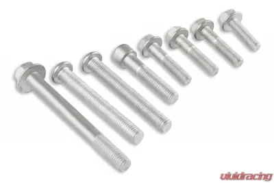 Holley HARDWARE, LT4 DRY-NATURAL (ALT) - 97-261