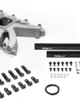 Holley EFI EFI Intake Manifold                                     - 300-269 - Image 2