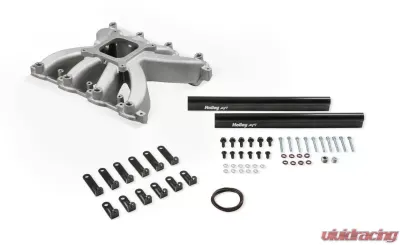 Holley EFI EFI Intake Manifold - 300-269