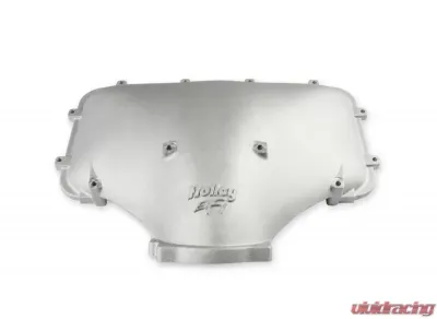 Holley EFI Hi-Ram Intake Manifold - 300-309