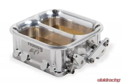 Holley EFI 4500 BIG DUAL - 112-593