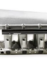 Holley EFI KIT, 105MM EFI SBF 302 DECK HI-RAM                                     - 300-273 - Image 4