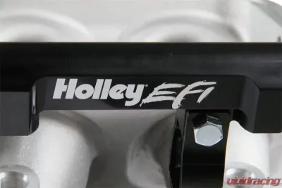 Holley EFI KIT, INT. MANIFOLD, LS1 LO-RAM, SATIN - 300-620