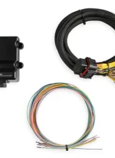 Holley EFI CAN MODULE, 8 CHANNEL EGT CONTROLLER                                     - 554-190 - Image 4