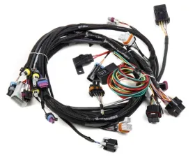 Holley EFI LS1 MAIN HARNESS