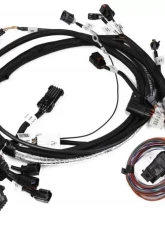 Holley EFI HEMI MAIN HARNESS, EARLY, W/ TPS & IAC                                     - 558-115 - Image 2
