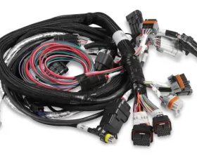 Holley EFI HEMI MAIN HARNESS, LATE, W/ TPS & IAC