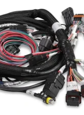 Holley EFI HEMI MAIN HARNESS, LATE, W/ TPS & IAC                                     - 558-116 - Image 2