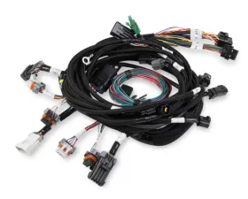 Holley EFI MAIN HARNESS, 99-04 FORD MODULAR