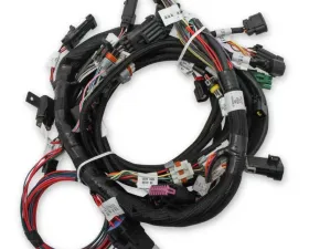 Holley EFI MAIN HARNESS, FORD COYOTE TI-VCT Ford 5.0L V8