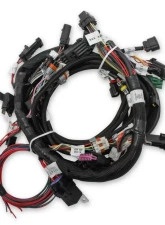 Holley EFI MAIN HARNESS, FORD COYOTE TI-VCT Ford 5.0L V8                                     - 558-110 - Image 3