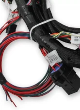 Holley EFI MAIN HARNESS, FORD COYOTE TI-VCT Ford 5.0L V8                                     - 558-110 - Image 2